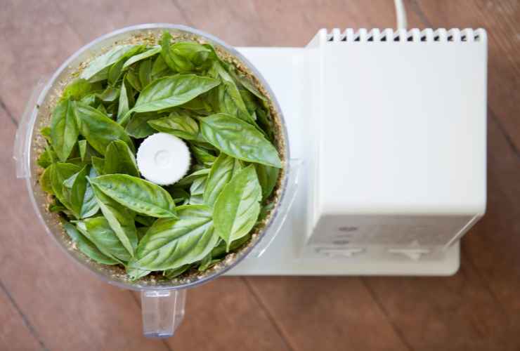 Ortolana grigliata con pesto RicettaSprint