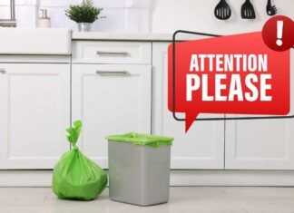 Parassiti nella pattumiera sotto il lavello RicettaSprint