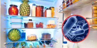 Frigo aperto e rischio batteri