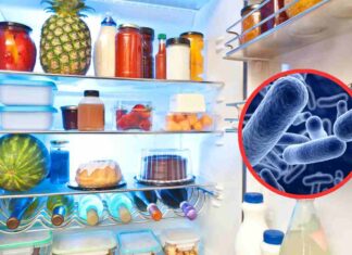 Frigo aperto e rischio batteri