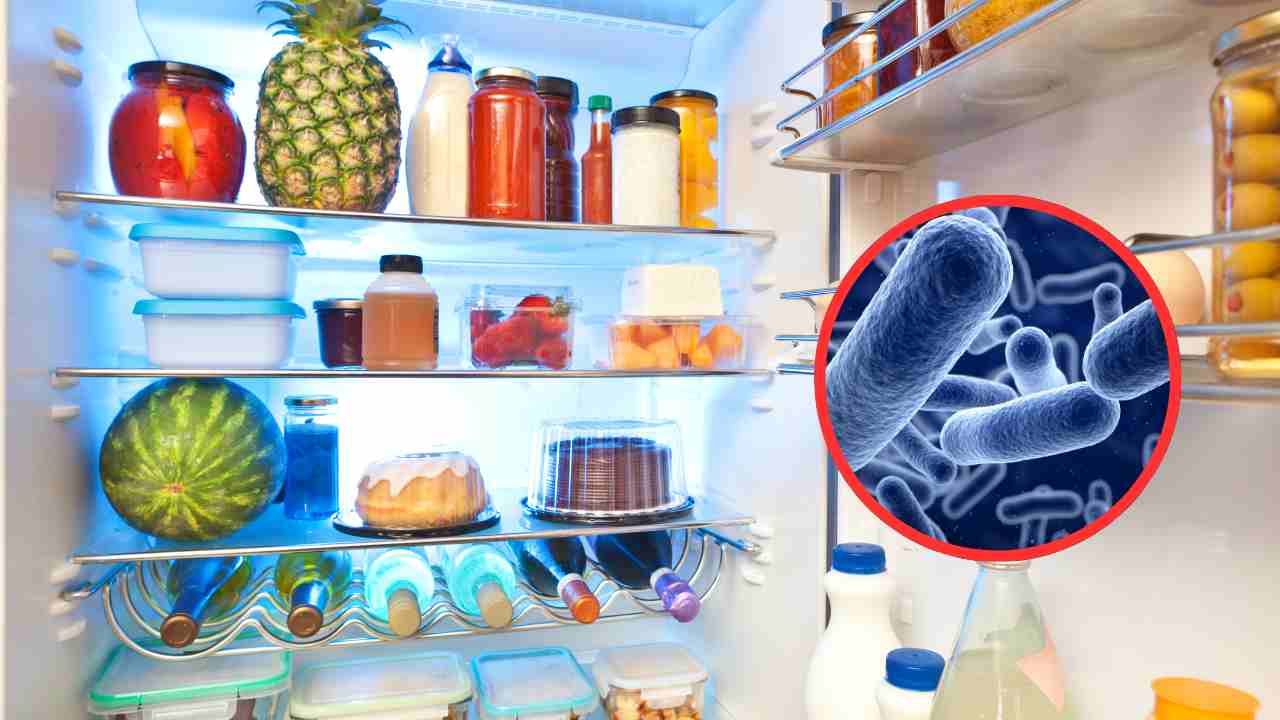 Frigo aperto e rischio batteri