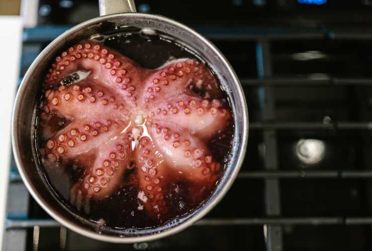 Polpo con le patate - RicettaSprint