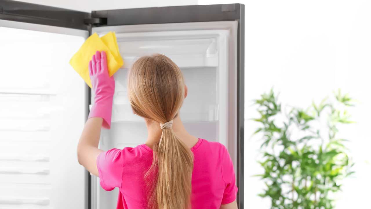 Donna che pulisce il frigo