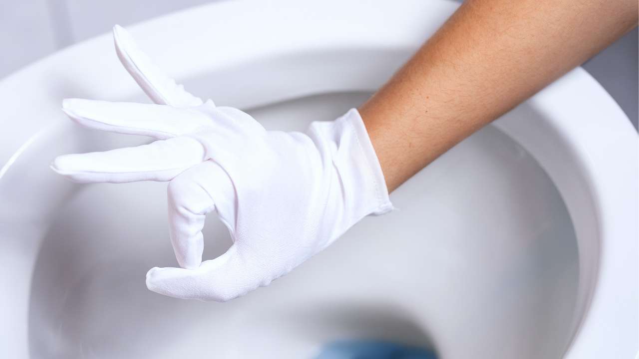 Puzza di urina nel wc RicettaSprint