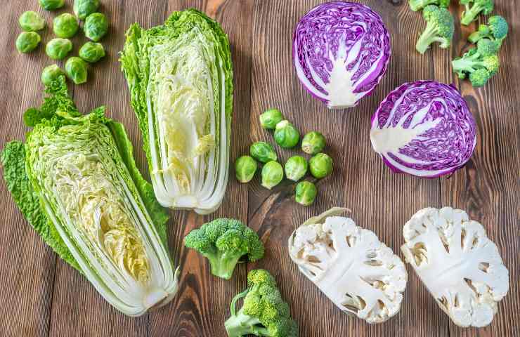 Verdure crocifere