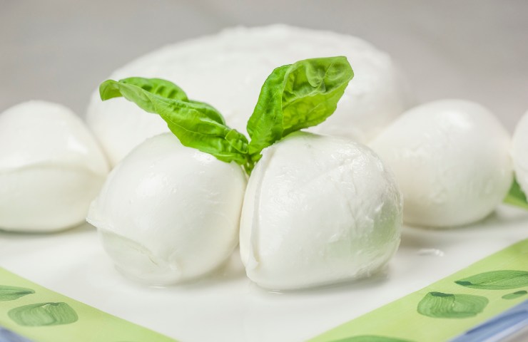 Mozzarella fresca