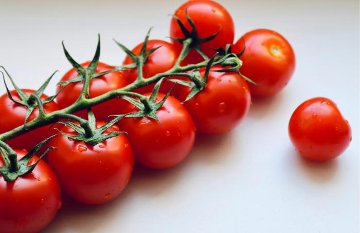 Pomodori