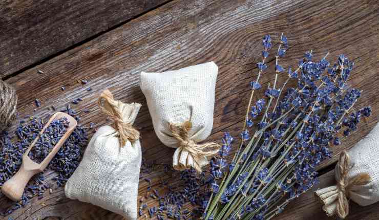 Sacchetti alla lavanda che profumano la scarpiera RicettaSprint