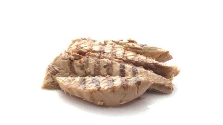 sgombro