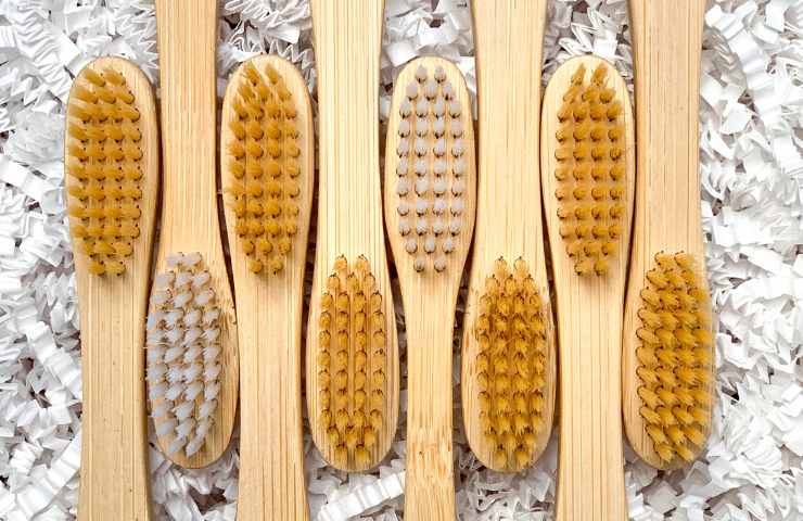 Spazzolini con setole di bambù