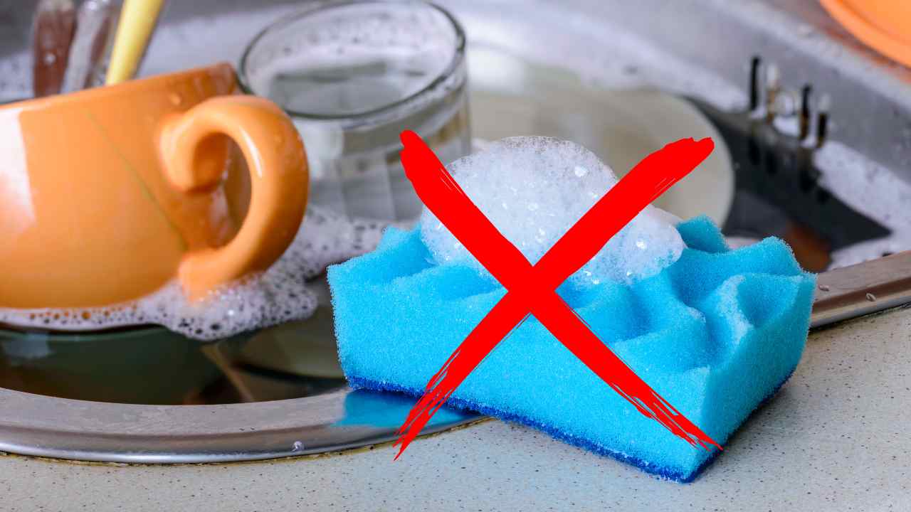 Spugna da cucina