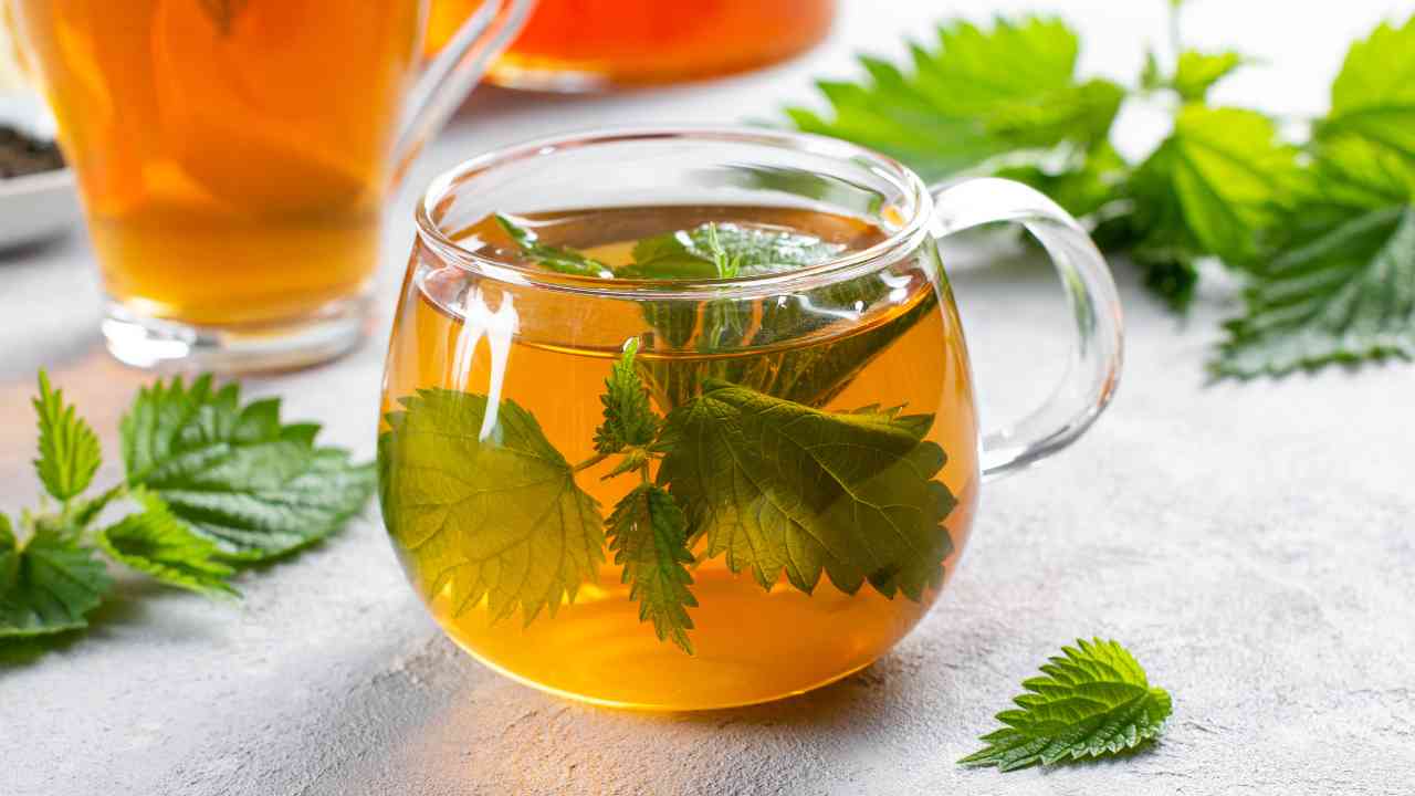 Tisana alle ortiche dimagrante - RicettaSprint