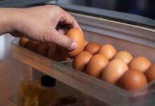 Il trucco dell’uovo fresco non funziona, non commettere questo errore anche tu Trucco delle uova fresche - RicettaSprint