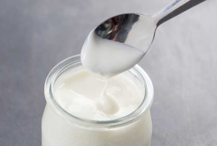 Yogurt magro o greco durante la dieta - RicettaSprint
