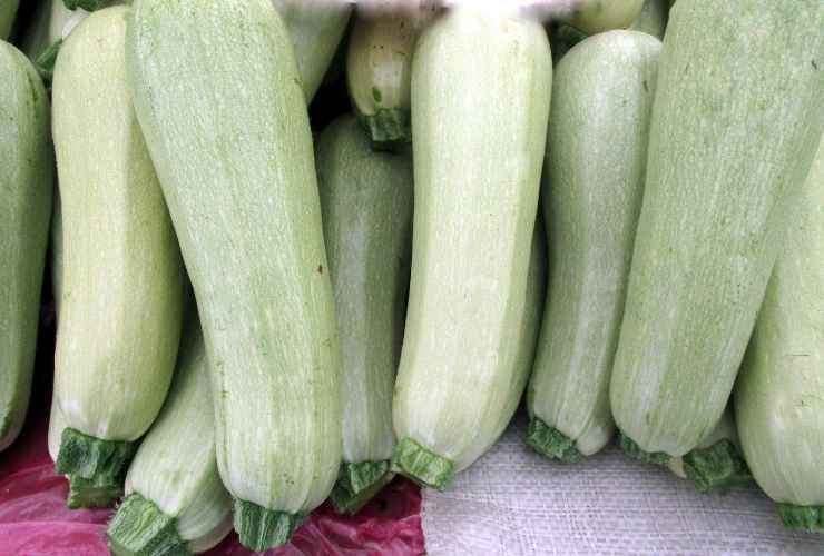 Zucchine ripiene per cena - RicettaSprint