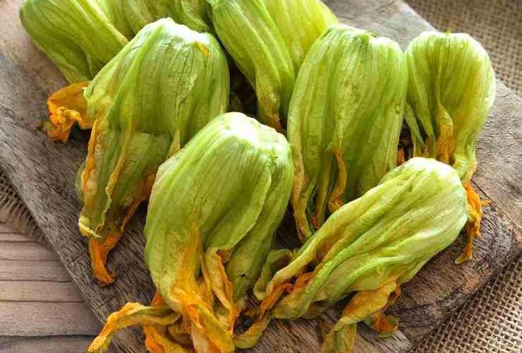 fiori di zucca