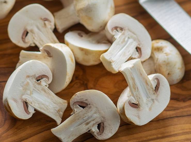 funghi