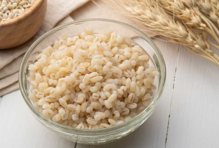 orzo