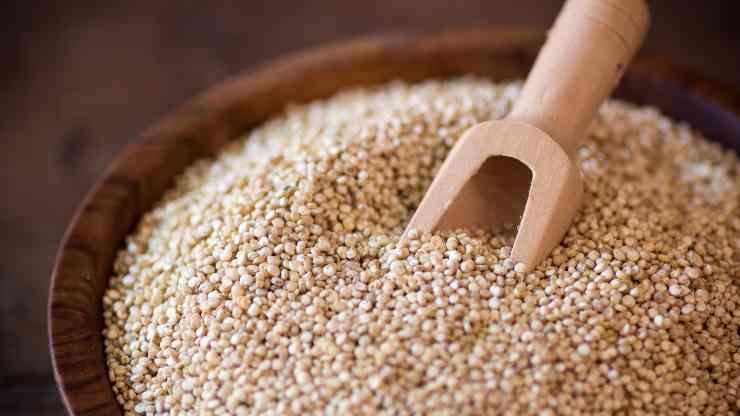 quinoa