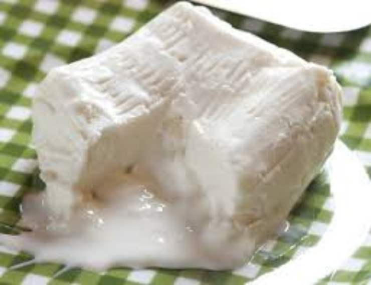stracchino