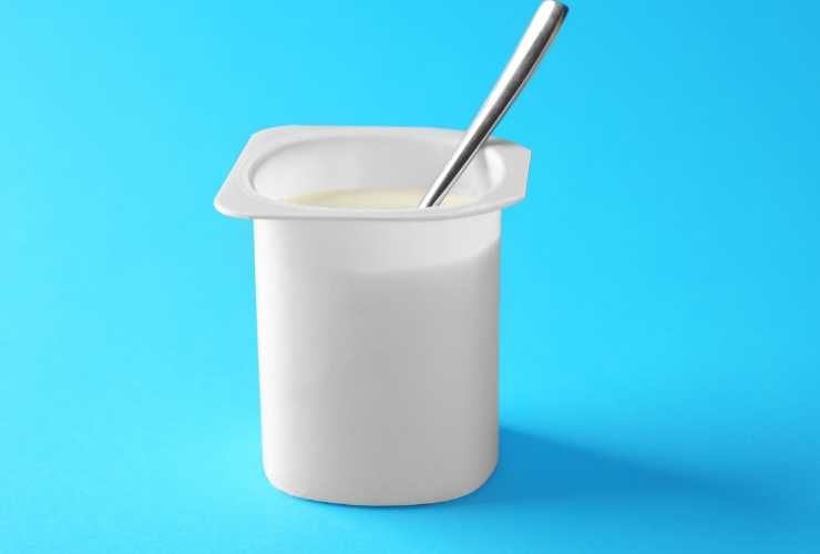 yogurt