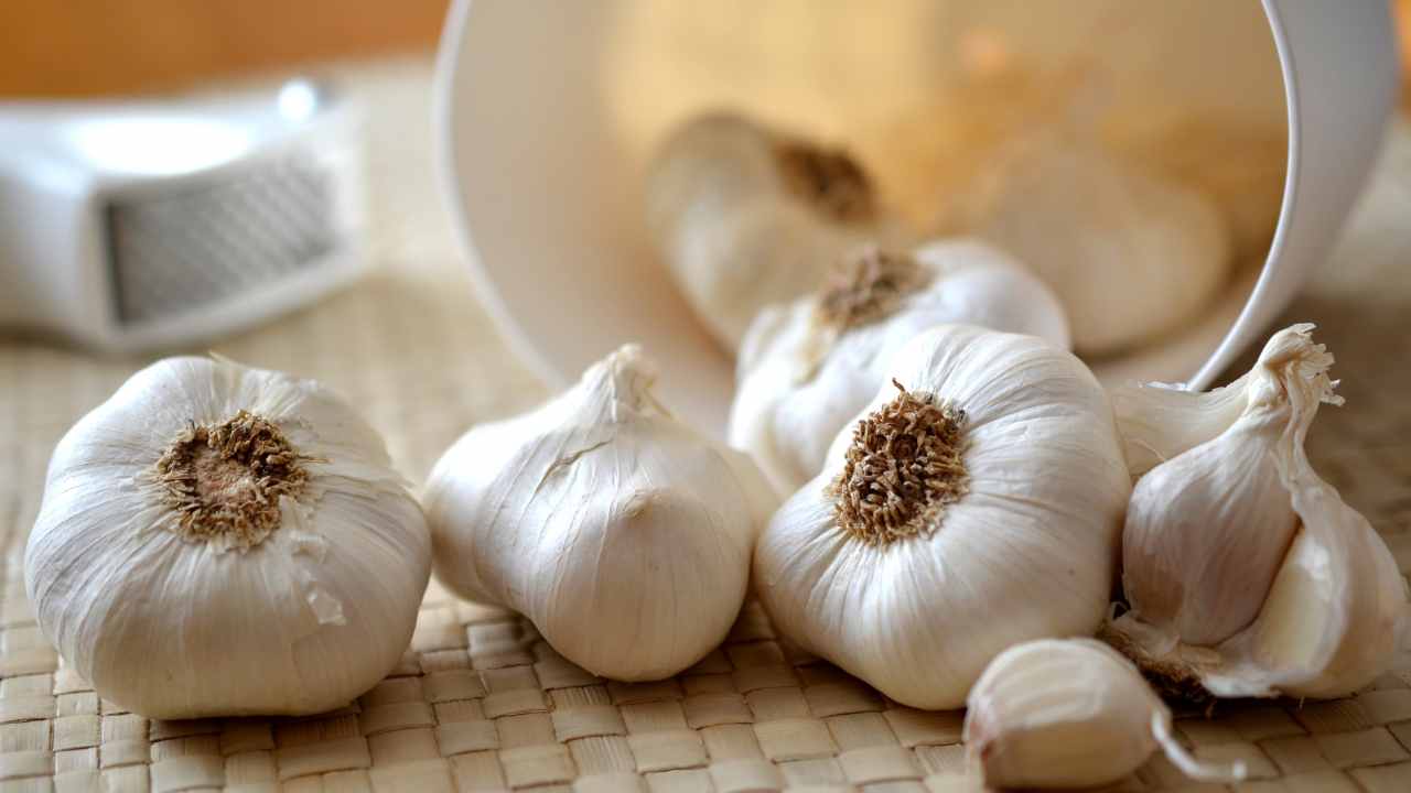 Aglio quanti ne esistono e come usarli - RicettaSprint