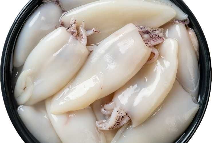 calamari