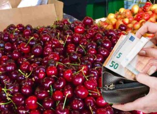 Ciliegie in vendita al supermercato