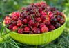 Ciliegie fresche