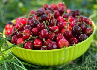Ciliegie fresche