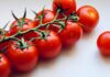 Come conservare il pomodoro in estate - RicettaSprint