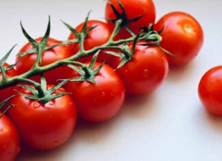Come conservare il pomodoro in estate - RicettaSprint