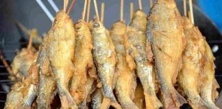 Frittura di pesce