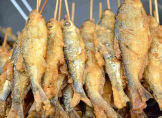 Frittura di pesce