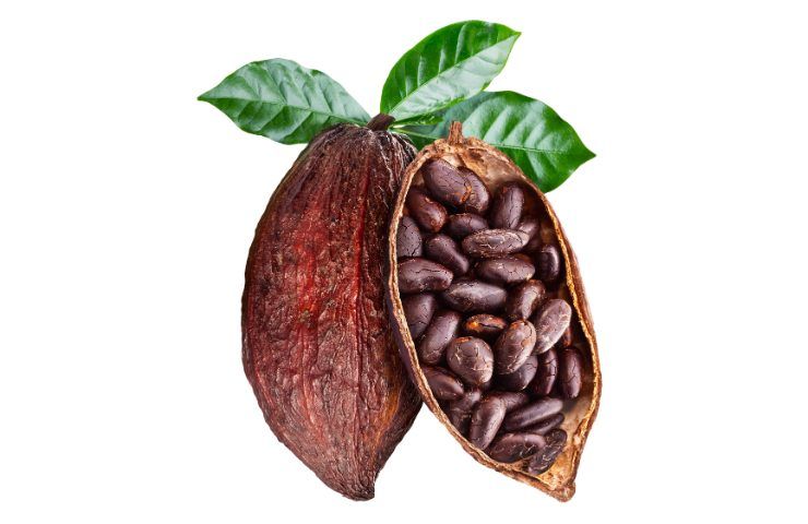 Fave di cacao