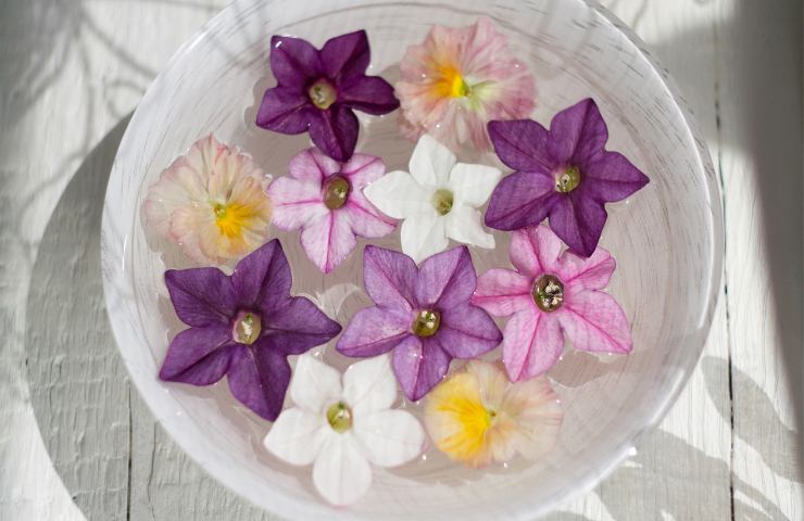 Fiori per l'acqua di San Giovanni