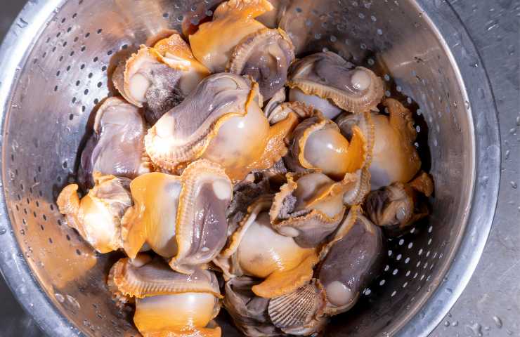 Frutti di mare freschi puliti
