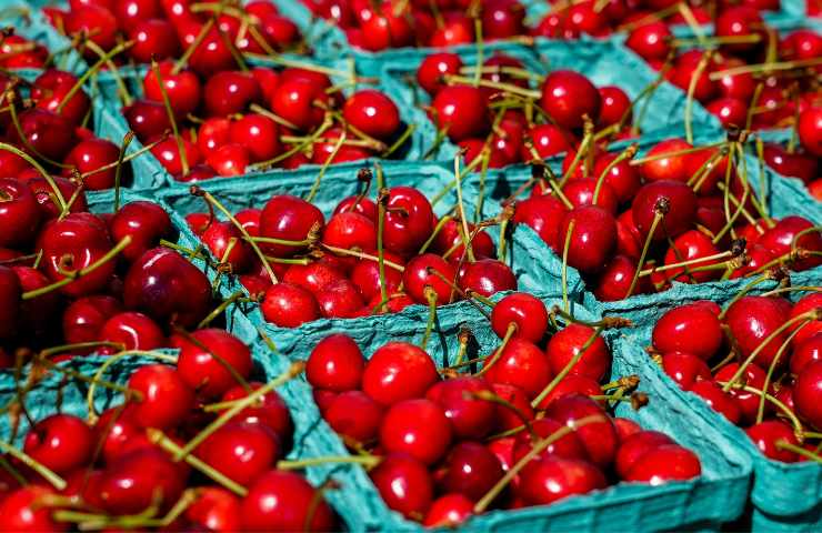 Ciliegie in vendita al mercato