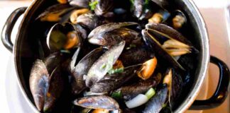 Cozze come vanno conservate- RicettaSprint