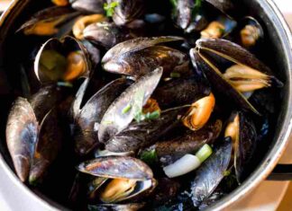 Cozze come vanno conservate- RicettaSprint