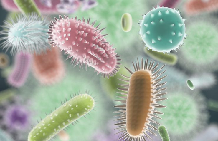 Detergenti probiotici per pulire casa RicettaSprint