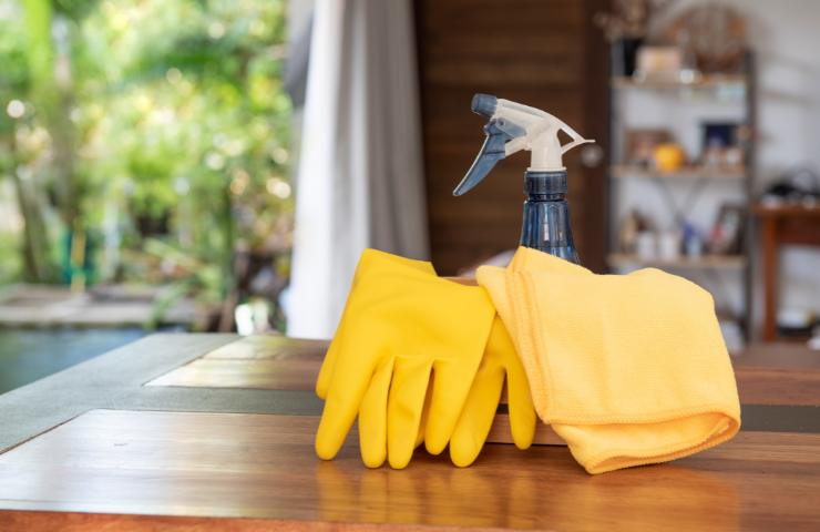 Detergenti probiotici per pulire casa RicettaSprint