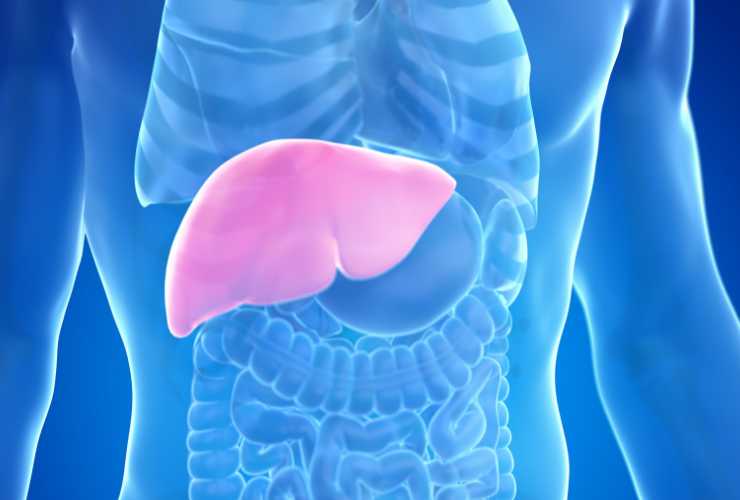 Detox per il fegato - RicettaSprint