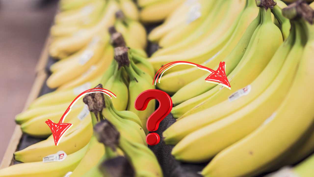 Banane con bollini