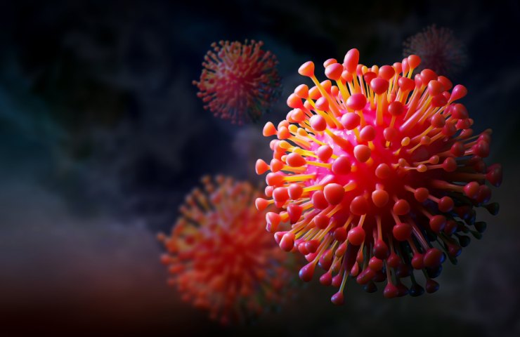 Rappresentazione di un virus