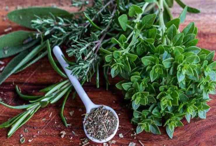 Erbe e spezie aromatiche come sostituti del sale RicettaSprint