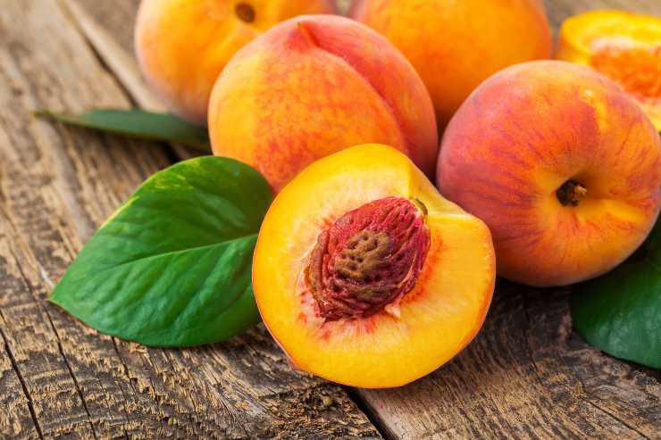 Focaccia dolce alla frutta RicettaSprint