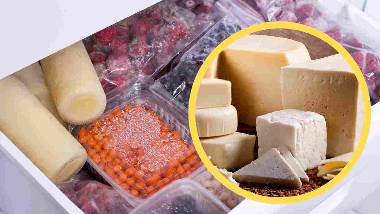 Formaggi in congelatore - RicettaSprint