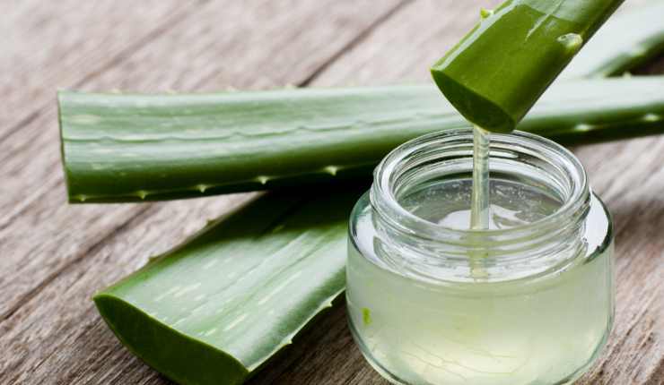 Gel di aloe vera RicettaSprint