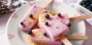 Ghiaccioli yogurt e mirtilli